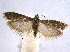  ( - BIOUG06948-C05)  @14 [ ] CreativeCommons - Attribution (2013) CBG Photography Group Centre for Biodiversity Genomics