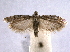  ( - BIOUG06948-C11)  @14 [ ] CreativeCommons - Attribution (2013) CBG Photography Group Centre for Biodiversity Genomics