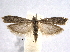  ( - BIOUG06948-F11)  @14 [ ] CreativeCommons - Attribution (2013) CBG Photography Group Centre for Biodiversity Genomics