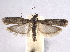  ( - BIOUG06949-F12)  @14 [ ] CreativeCommons - Attribution (2013) CBG Photography Group Centre for Biodiversity Genomics