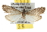  (Arispe - BIOUG06950-A01)  @14 [ ] CreativeCommons - Attribution (2013) CBG Photography Group Centre for Biodiversity Genomics