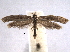  ( - BIOUG06950-F03)  @14 [ ] CreativeCommons - Attribution (2013) CBG Photography Group Centre for Biodiversity Genomics