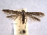  ( - BIOUG06950-H11)  @14 [ ] CreativeCommons - Attribution (2013) CBG Photography Group Centre for Biodiversity Genomics