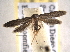  ( - BIOUG06951-D07)  @14 [ ] CreativeCommons - Attribution (2013) CBG Photography Group Centre for Biodiversity Genomics