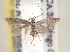  ( - BIOUG07782-A02)  @14 [ ] CreativeCommons - Attribution (2013) CBG Photography Group Centre for Biodiversity Genomics