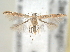  ( - BIOUG08068-H09)  @13 [ ] CreativeCommons - Attribution (2013) CBG Photography Group Centre for Biodiversity Genomics