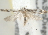  ( - BIOUG08068-H11)  @12 [ ] CreativeCommons - Attribution (2013) CBG Photography Group Centre for Biodiversity Genomics