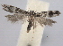  ( - BIOUG09819-B05)  @13 [ ] CreativeCommons - Attribution (2014) CBG Photography Group Centre for Biodiversity Genomics