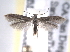  ( - BIOUG09819-C09)  @14 [ ] CreativeCommons - Attribution (2014) CBG Photography Group Centre for Biodiversity Genomics