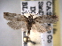  ( - BIOUG09819-C12)  @13 [ ] CreativeCommons - Attribution (2014) CBG Photography Group Centre for Biodiversity Genomics
