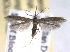  ( - BIOUG09819-D11)  @14 [ ] CreativeCommons - Attribution (2014) CBG Photography Group Centre for Biodiversity Genomics