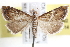  ( - BIOUG11929-B02)  @14 [ ] CreativeCommons - Attribution (2014) CBG Photography Group Centre for Biodiversity Genomics