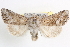  ( - BIOUG11929-D07)  @14 [ ] CreativeCommons - Attribution (2014) CBG Photography Group Centre for Biodiversity Genomics