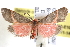  ( - BIOUG11929-E10)  @13 [ ] CreativeCommons - Attribution (2014) CBG Photography Group Centre for Biodiversity Genomics