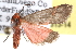  ( - BIOUG11929-E12)  @12 [ ] CreativeCommons - Attribution (2014) CBG Photography Group Centre for Biodiversity Genomics