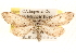  ( - BIOUG11930-B12)  @14 [ ] CreativeCommons - Attribution (2014) CBG Photography Group Centre for Biodiversity Genomics