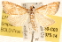  ( - BIOUG11930-C03)  @14 [ ] CreativeCommons - Attribution (2014) CBG Photography Group Centre for Biodiversity Genomics