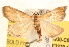  ( - BIOUG11930-C06)  @13 [ ] CreativeCommons - Attribution (2014) CBG Photography Group Centre for Biodiversity Genomics