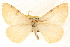  ( - BIOUG11930-F08)  @14 [ ] CreativeCommons - Attribution (2014) CBG Photography Group Centre for Biodiversity Genomics
