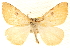 ( - BIOUG11930-F09)  @15 [ ] CreativeCommons - Attribution (2014) CBG Photography Group Centre for Biodiversity Genomics
