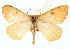  ( - BIOUG11930-F10)  @14 [ ] CreativeCommons - Attribution (2014) CBG Photography Group Centre for Biodiversity Genomics