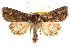  ( - BIOUG11930-H03)  @14 [ ] CreativeCommons - Attribution (2014) CBG Photography Group Centre for Biodiversity Genomics