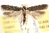  ( - BIOUG11932-A04)  @15 [ ] CreativeCommons - Attribution (2014) CBG Photography Group Centre for Biodiversity Genomics