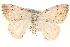  ( - BIOUG11932-B04)  @14 [ ] CreativeCommons - Attribution (2014) CBG Photography Group Centre for Biodiversity Genomics