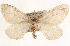  ( - BIOUG11932-G09)  @14 [ ] CreativeCommons - Attribution (2014) CBG Photography Group Centre for Biodiversity Genomics