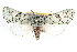  ( - BIOUG11933-A05)  @14 [ ] CreativeCommons - Attribution (2014) CBG Photography Group Centre for Biodiversity Genomics