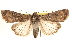  ( - BIOUG11933-A08)  @14 [ ] CreativeCommons - Attribution (2014) CBG Photography Group Centre for Biodiversity Genomics
