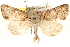  ( - BIOUG11933-H04)  @15 [ ] CreativeCommons - Attribution (2014) CBG Photography Group Centre for Biodiversity Genomics