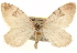  ( - BIOUG12229-A06)  @14 [ ] CreativeCommons - Attribution (2014) CBG Photography Group Centre for Biodiversity Genomics