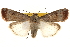  ( - BIOUG12229-B01)  @15 [ ] CreativeCommons - Attribution (2014) CBG Photography Group Centre for Biodiversity Genomics
