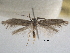  ( - BIOUG12230-F01)  @13 [ ] CreativeCommons - Attribution (2014) CBG Photography Group Centre for Biodiversity Genomics