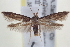  ( - BIOUG12230-G01)  @15 [ ] CreativeCommons - Attribution (2014) CBG Photography Group Centre for Biodiversity Genomics