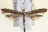  ( - BIOUG12230-G04)  @14 [ ] CreativeCommons - Attribution (2014) CBG Photography Group Centre for Biodiversity Genomics