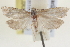  ( - BIOUG12230-H09)  @13 [ ] CreativeCommons - Attribution (2014) CBG Photography Group Centre for Biodiversity Genomics