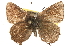  ( - BIOUG14216-E11)  @13 [ ] CreativeCommons - Attribution (2014) CBG Photography Group Centre for Biodiversity Genomics