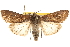  ( - BIOUG14216-H07)  @14 [ ] CreativeCommons - Attribution (2014) CBG Photography Group Centre for Biodiversity Genomics