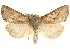  ( - BIOUG14216-H11)  @14 [ ] CreativeCommons - Attribution (2014) CBG Photography Group Centre for Biodiversity Genomics