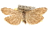  ( - BIOUG14217-B06)  @12 [ ] CreativeCommons - Attribution (2014) CBG Photography Group Centre for Biodiversity Genomics