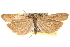  ( - BIOUG14217-B12)  @12 [ ] CreativeCommons - Attribution (2014) CBG Photography Group Centre for Biodiversity Genomics