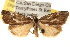  ( - BIOUG14217-D11)  @14 [ ] CreativeCommons - Attribution (2014) CBG Photography Group Centre for Biodiversity Genomics