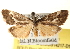  ( - BIOUG14217-D12)  @14 [ ] CreativeCommons - Attribution (2014) CBG Photography Group Centre for Biodiversity Genomics