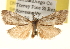  ( - BIOUG14217-E02)  @14 [ ] CreativeCommons - Attribution (2014) CBG Photography Group Centre for Biodiversity Genomics