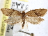  ( - BIOUG26826-G12)  @14 [ ] CreativeCommons - Attribution (2016) CBG Photography Group Centre for Biodiversity Genomics