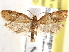  ( - BIOUG26826-H02)  @14 [ ] CreativeCommons - Attribution (2016) CBG Photography Group Centre for Biodiversity Genomics