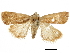  ( - BIOUG44858-E02)  @13 [ ] CreativeCommons - Attribution (2018) CBG Photography Group Centre for Biodiversity Genomics