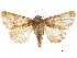  ( - BIOUG44858-H04)  @13 [ ] CreativeCommons - Attribution (2018) CBG Photography Group Centre for Biodiversity Genomics